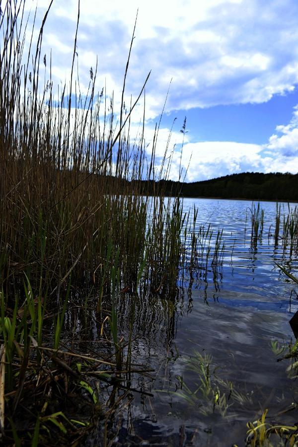 Domek Nad Jeziorem, A Morze W Gratisie Wisełka Esterno foto